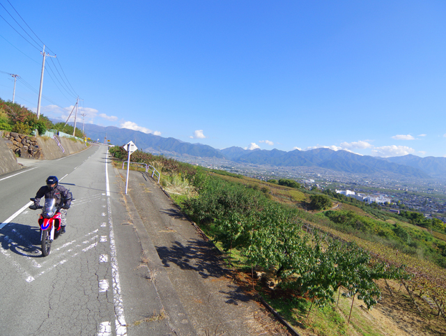 フルーツライン ～東山広域農道～ | Bike Life Lab｜バイク王