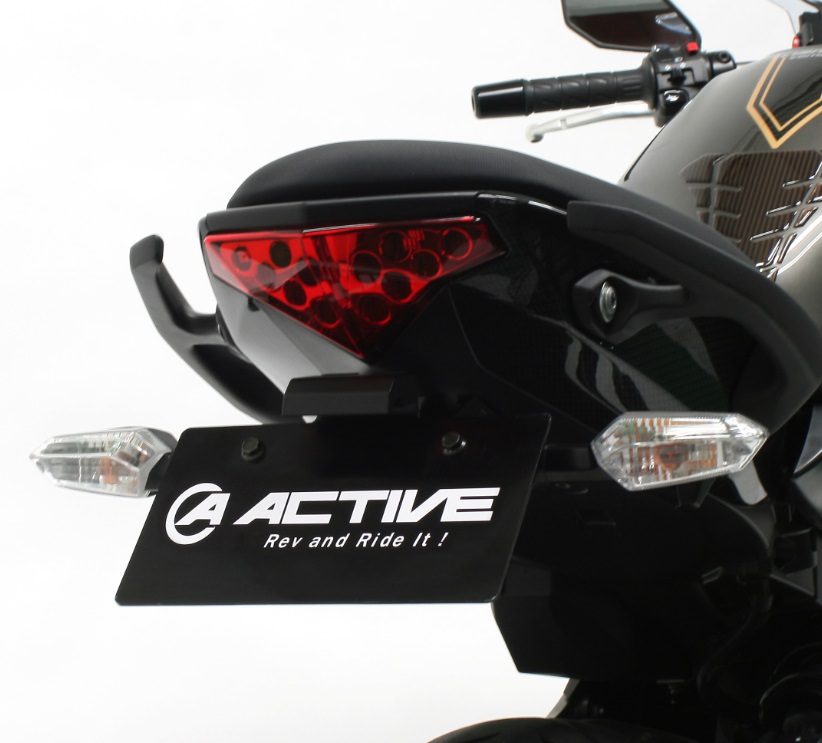 フェンダーレスキット ACTIVE（アクティブ） Ninja400（ニンジャ）14〜16年