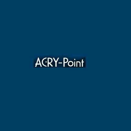 レーシングタイプスクリーン クリア アクリポイント（ACRY-Point 