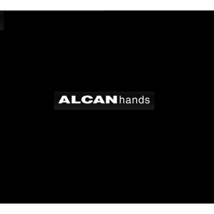 延長ハーネス 300mmロング ALCANhands（アルキャンハンズ） ZRX400/2（04年〜）