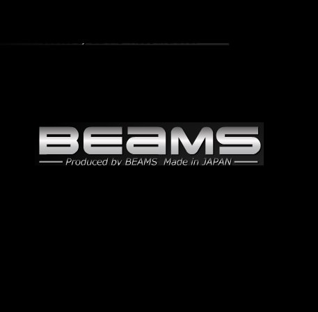 SS400 スタンダードバッフル BEAMS（ビームス） PS250