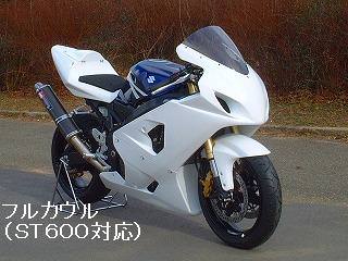 フルカウル 750 CLEVER WOLF RACING（クレバーウルフレーシング） GSX