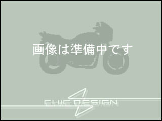 ガイラシールド Sサイズ クリア CHIC DESIGN（シックデザイン） SRV250・S（92〜97年）