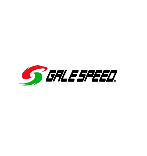 リア用 425-17 ゴールド （TYPE-GP1S） GALE SPEED（ゲイルスピード） ZX-25R/SE（20〜21年）