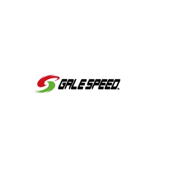 ブレーキパッド （フロント2Pキャリパー用） GALE SPEED（ゲイルスピード）