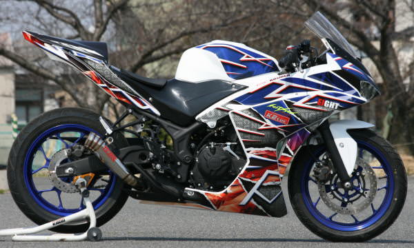 BLESS（ブレス）メガホン ステンレススリップオンマフラー K2-tec（ケイツーテック） YZF-R25