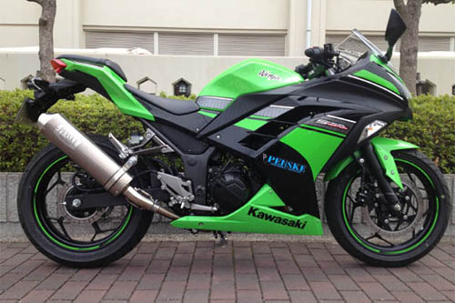 エボリューションスリップオンマフラー チタン 政府認証モデル PENSKE（ペンスケ） Ninja250（ニンジャ）JBK-EX250L