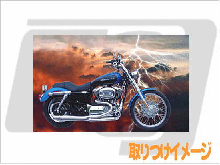 スポーツスター（SPORTSTER） - THUNDERHEADER（サンダーヘッダー