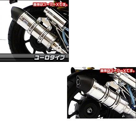 ロイヤルマフラー ユーロタイプ ステンレス ウイルズウィン（WirusWin） Mio125i・Mio125RR（FI車）