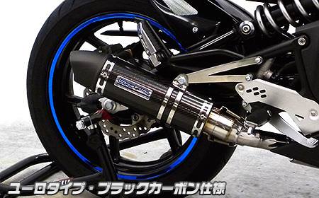 ダイナミックマフラー ブラックカーボン仕様 ユーロタイプ スリップオン ウイルズウィン（WirusWin） Ninja400R（ニンジャ）EBL-ER400B