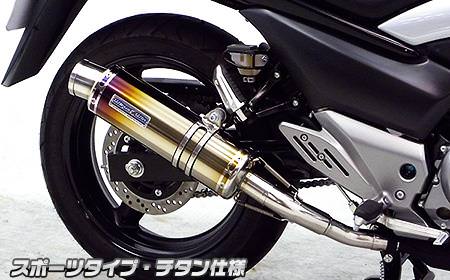 スリップオンマフラー スポーツタイプ チタン仕様 ウイルズウィン（WirusWin） GSR250（JBK-GJ55D）