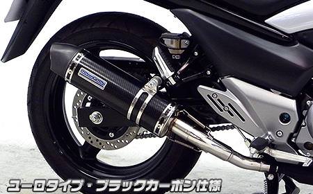 スリップオンマフラー ユーロタイプ ブラックカーボン仕様 ウイルズウィン（WirusWin） GSR250（JBK-GJ55D）