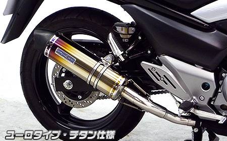 スリップオンマフラー ユーロタイプ チタン仕様 ウイルズウィン（WirusWin） GSR250（JBK-GJ55D）