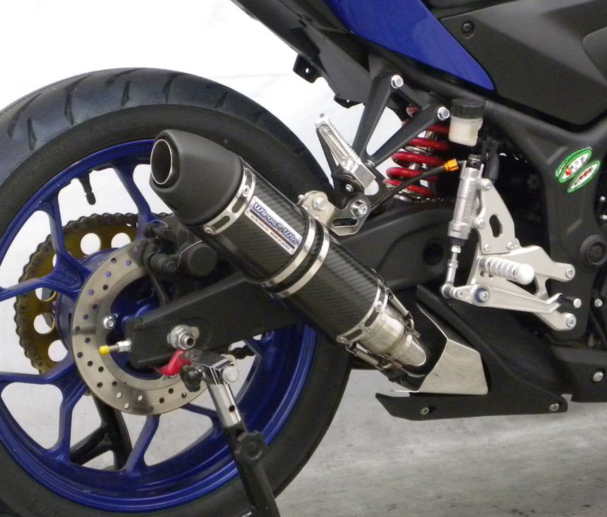 スリップオンマフラー ユーロタイプ カーボン（ヒートガード-ポリッシュ仕上） ウイルズウィン（WirusWin） YZF-R25（JBK-RG10J）