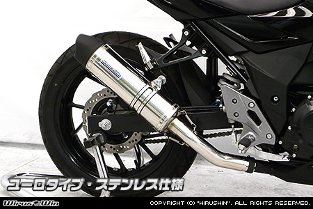 スリップオンマフラー ユーロタイプ ステンレス ウイルズウィン（WirusWin） GSX250R（2BK-DN11A）