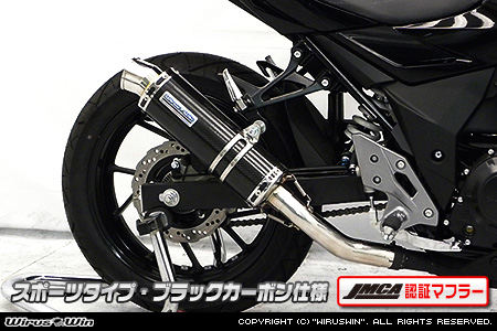 スリップオンマフラー スポーツタイプ ブラックカーボン（JMCA認証マフラー） ウイルズウィン（WirusWin） GSX250R（2BK-DN11A）