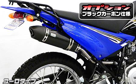 スリップオンマフラーユーロタイプ カーボン ウイルズウィン（WirusWin） XTZ125