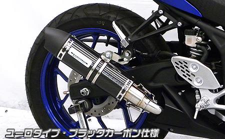 スリップオンマフラー ユーロタイプ ブラックカーボン（ヒートガード-ブラック仕上） ウイルズウィン（WirusWin） YZF-R25（2BK-RG43J）