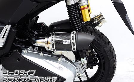 サイレンサー型 エアクリーナーキット ユーロタイプ ブラックカーボン仕様 ウイルズウィン（WirusWin） ADV160（8BK-KF54）