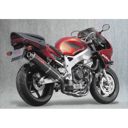 SPEC-A チタンマフラー 4-2-1カーボンサイレンサー YAMAMOTO（ヤマモトレーシング） CBR900RR（〜99年）