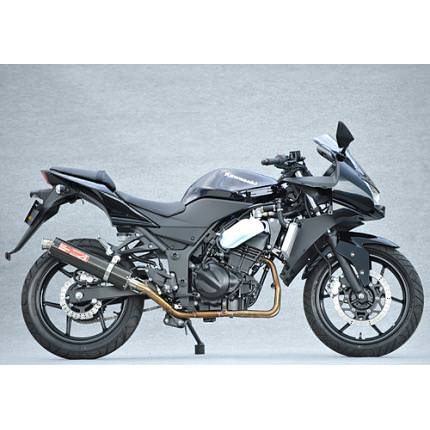 SPEC-A ステンレスマフラー2-1 カーボンサイレンサー YAMAMOTO（ヤマモトレーシング） Ninja250R（ニンジャ）08年