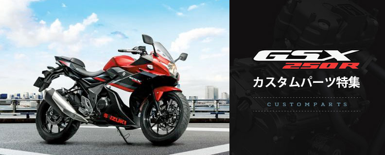 GSX250Rカスタム特集！スズキ・GSX250Rの厳選オススメカスタムパーツを