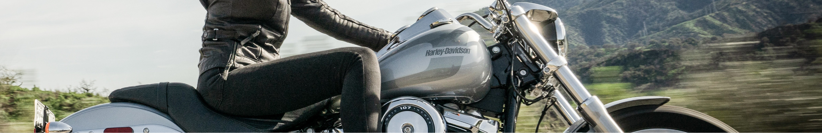 Harley-Davidson