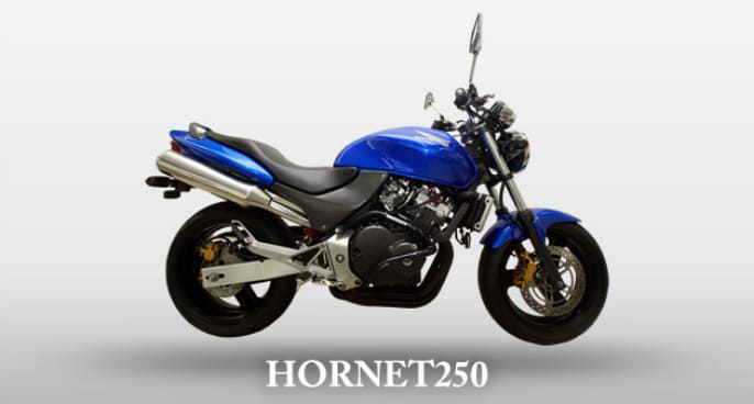 HORNET250